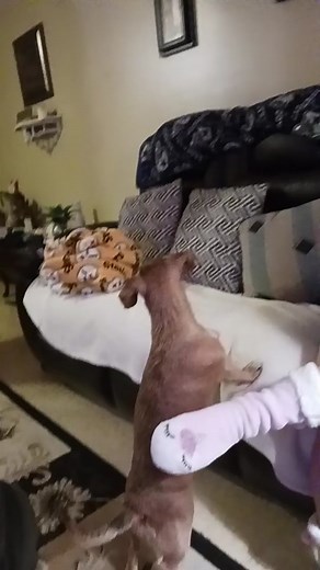 Craig Barrett on TikTok