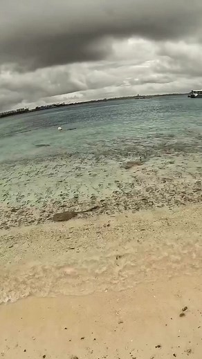 1.9M views · 14K reactions | Wait for it …. Wait for it… #stingray#shark#sharkattack##SharkBite #SharkAttackOnTheBeach #WatchYourFeet #SharkWeek#stinger #ManRay #Danger #Nature #NatureIsMetal | FishLips | Facebook