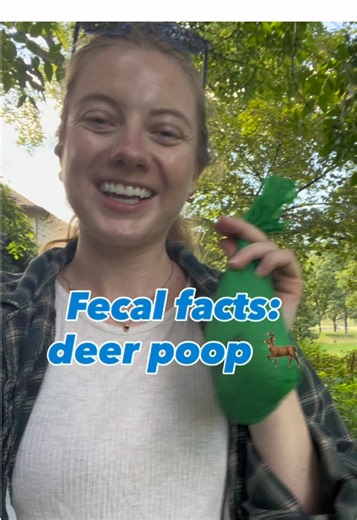 🦌💩 Fecal Fact Friday: Deer Poop Edition💩🦌 Did you know deer poop a lot, they leave behind hundreds of droppings each day? While deer poop is a natural part of the ecosystem, pet waste is a different story. Unlike wildlife, our dogs often gather in concentrated areas, and when waste is left behind, rain can wash harmful bacteria and nutrients into local waterways. 🌧️🌊 This weekend, help protect wildlife and our watershed: 🐾 Scoop your dog’s poop 🗑️ Pick up 2 extra pieces of litter while y