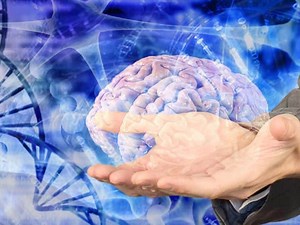 Curso Practitioner en PNL Online