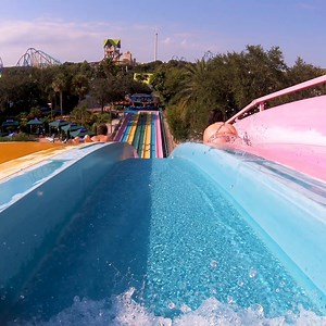 4.6K views · 149 reactions | Racing to the weekend like  | Aquatica Orlando | Facebook