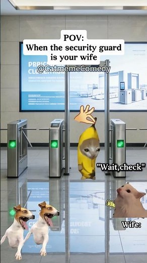 Cat meme Comedy😺When the security guard is your wife #cat #shorts #funny cat videos