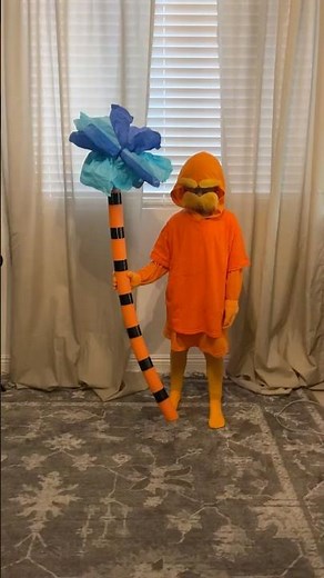 The Lorax DIY Costume for Damian!