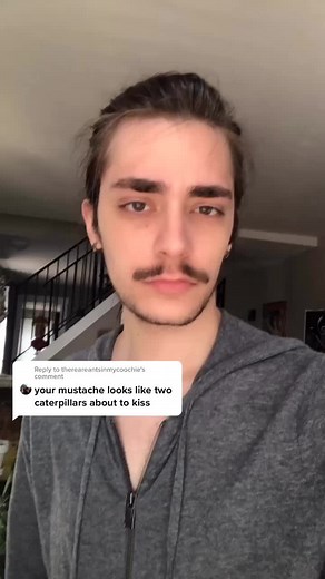 Caterpillar Drama: A Kiss Between Caterpillars