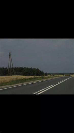 name:the mutated body