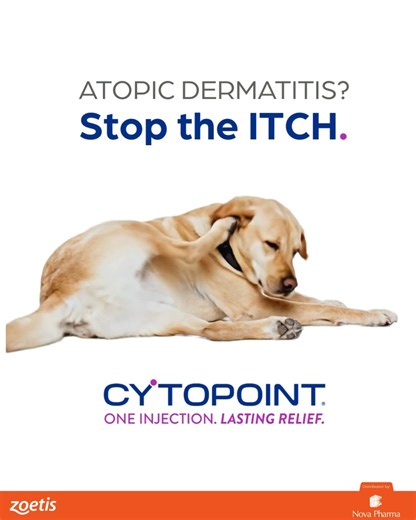 N O V A P H A R M A on Instagram: "Relief that starts with one injection and lasts for weeks. Cytopoint targets and neutralizes the itch signal at its source. It provides long-lasting relief for dogs with atopic dermatitis, so they can get back to feeling comfortable and happy. ➡️ For Pet Owners: Ask your veterinarian if Cytopoint could be the right solution for your dog’s itchy skin. ➡️ For Veterinary Professionals: Contact your Nova Pharma representative to learn more about this targeted treat