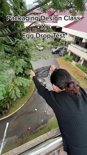 Egg Drop Experiment Packaging Design Class Materials Challenge