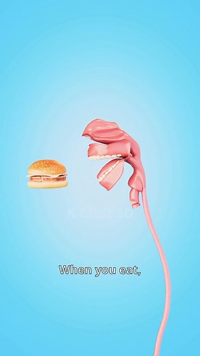 How does your body turn food into poop_💩 _shorts _subscrib | Kcraft3D