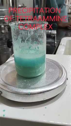 Copper Tetraammine Complex Formation | Chemistry Short Experiment