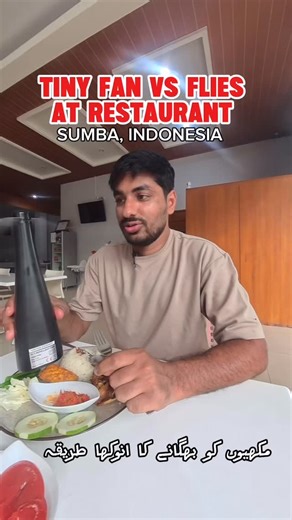 waqar maqsood on Instagram: "A unique way to shoo away flies"