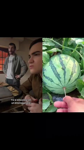 😅😅😅😅😅 . . . #viral #fyp #parati #latino #comedia #funny #foryou #arial #❤️ #😂