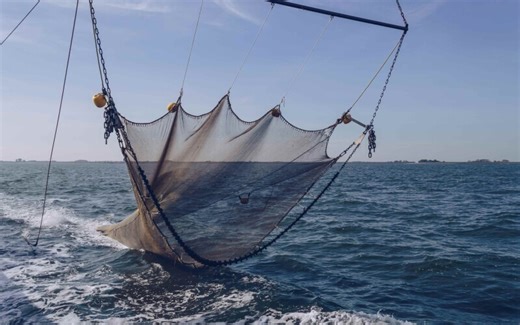 Study argues serious impacts of bottom trawling on food security