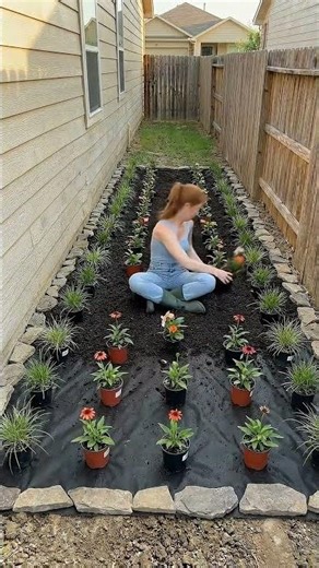 She Transformed a Muddy Side Yard Into the Garden Everyone Stops to Look At