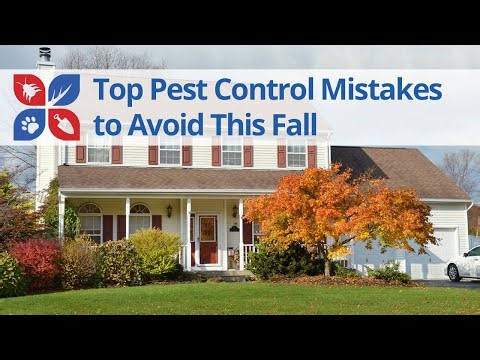 Top Pest Control Mistakes to Avoid this Fall | DoMyOwn.com