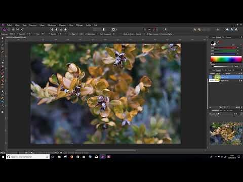Affinity Photo - Réaliser un Vignetage