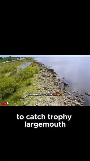 Lake Okeechobee: Florida’s Giant #Bass Playground Awaits! #Fishing #Shorts