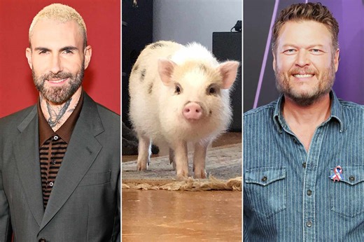 Adam Levine says his former 'Voice' co-judge Blake Shelton pranked him into buying a $5,000 pig
