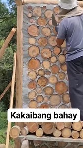 #unique #amazinghouse #followersreels | Ricardo Aron