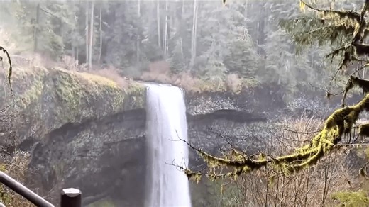 Amazing America: Silver Falls State Park