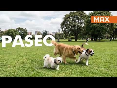 MAXIMUM MINUTE 1: Play and walk, fundamental needs