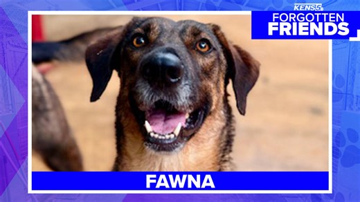 Fawna has been waiting four years to be chosen | Forgotten Friends
