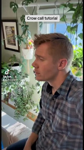 How to call a crow (step by step) #crows #birdcall #crow #crowcall #howto