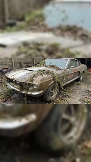 Pure ASMR Restoration: Reviving a Rusty VW Beetle Full Time Lapse Build #asmr #restoration #shorts