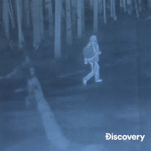 An elite team of Bigfoot experts is about to track down the legend... but will they find the truth?🦶 Watch the season premiere #ExpeditionBigfoot Wednesday, January 22 on Discovery! | Discovery