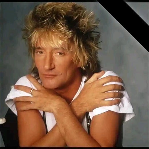 SAY YES IF YOU LOVE ROD STEWART �� | Sir Rod Stewart Fans Page