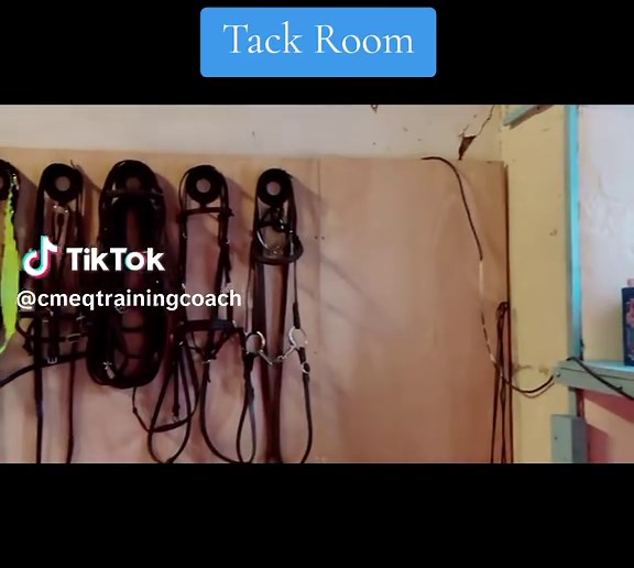 A perfect tack room for a new beginning ✨💖🐴 Couldn’t be happier with how it turned out. Grateful for all the hands that helped 🩵 #TackRoom #EquestrianLife #HorseLover #StableMakeover #BeforeAndAfter