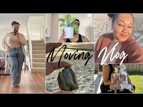 Los Angeles Apartment Tour 2026: Moving & Austin Texas Road Trip