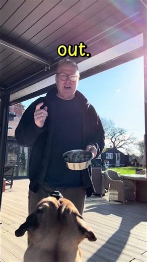 Why Raw Fed Dogs Produce Less Waste