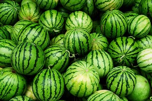 How To Pick The Perfect Watermelon Every Time: 5 Tips
