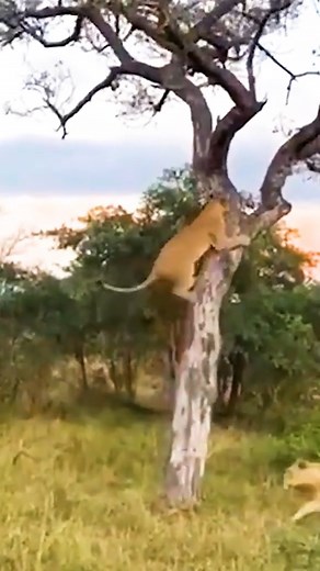 Amazing beautiful nature on Reels