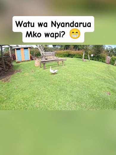 Discover the Coldest County in Kenya