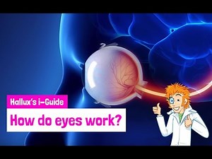 How do eyes work?