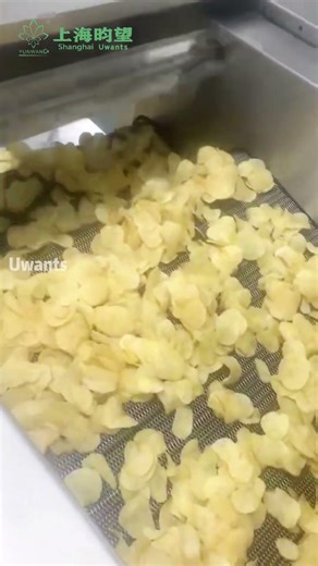 potato chip production line
