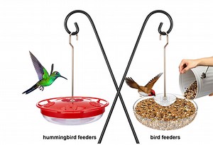 Watch Hummingbird feeder & Bird feeders on Amazon Live
