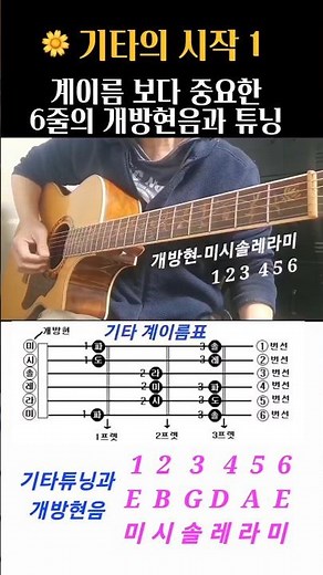 기타의 필수 기본🌼튜닝(조율)과 개방현음 guitar lesson 기초