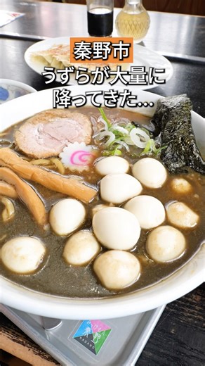 【秦野市】うずら大量発生の煮干しラーメン #神奈川グルメ #ラーメン #秦野市