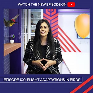 60 reactions · 14 shares | Birds are creatures that have the ability to fly and rule the skies. In this way, they are fortunate to have modified Skeletons. We will learn the flight adaptations in this episode of smart learning. | Punjab Group Of Colleges | Facebook