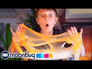 GIANT Golden Dragon Egg | BEST OF ‪@TRexRanch‬ | Moonbug Kids Explore With Me!