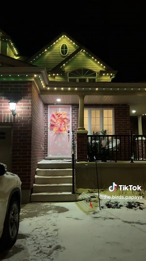 Sarah Nicole @thebirdspapaya on TikTok