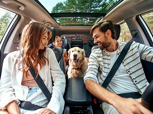 Here are some important safety tips for traveling with pets