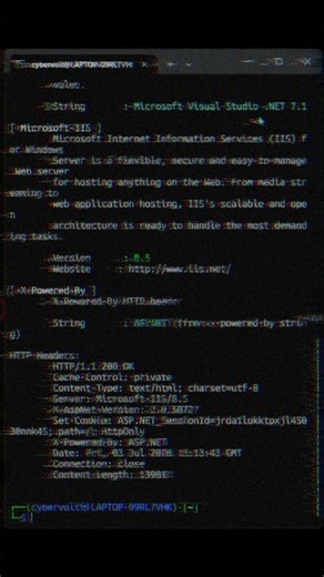 🔍 Learn how to identify the technologies behind any website using WhatWeb! | #bugbounty #shorts