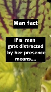 9.3K views · 18 reactions | If a man gets distracted by her...