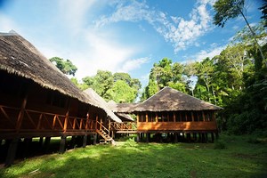 Romero Rainforest Lodge - Crees Manu