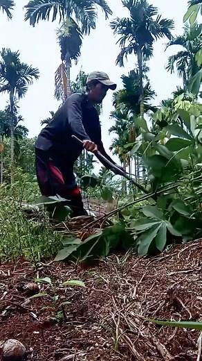 Saat kita... 🌿 Merasa tidak lagi," Punya Cara. Tuhan, selalu Punya Jalan.☺️ Setuju kan.. @sorotan | Ai Java