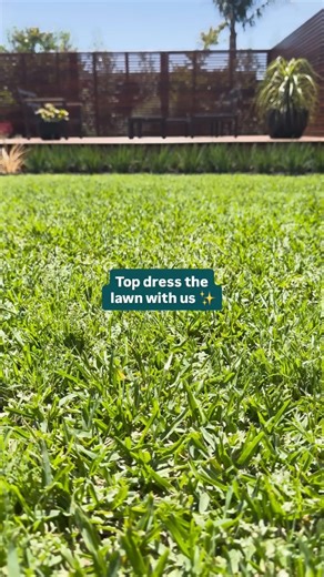 Bunnings Warehouse on Instagram: "Major lawn envy starts here 🙌 The secret? Top dressing! It’s the key to helping your grass grow thicker, healthier and more lush 💚🤫 To learn more, check out our article ‘How to topdress your lawn’ via the link in bio ⬆️ #Topdressing #Lawn"
