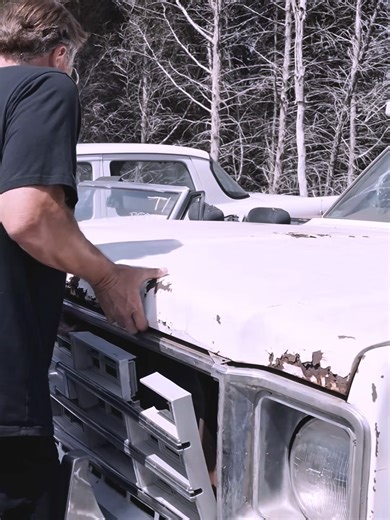 Unbelievable! Over 200 Classic Car Nest - Part 6 #abandoned #car #roadworthyrescues #roadworthy #fyp